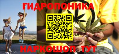 твердый Лесосибирск