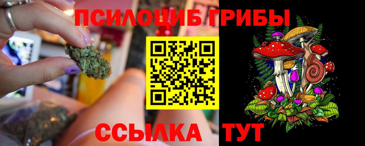 Галлюциногенные грибы прущие грибы  Вход с VPN  Калач-на-Дону 